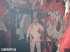 bloodbayou1