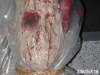 dscn1776