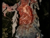 pic1_decor