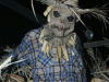 2008halloweenhauntn