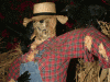 2008halloweenhaunto